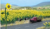 BUSCH 6003 Napraforgómező (60 db) (építőkészlet) BUSCH 6003 Napraforgómező (60 db) (építőkészlet)