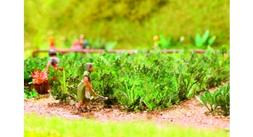 NOCH 14112 Laser-Cut mini: Cukkini, 10 db