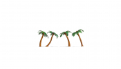 NOCH 21973 Palm Trees