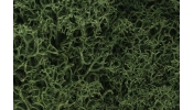WOODLAND Scenics L163 Medium Green Lichen