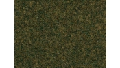 AUHAGEN 75593 Szórófű, erdei talaj (20 g) AUHAGEN 75593 Szórófű, erdei talaj (20 g)