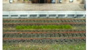 HEKI 1811 Fűcsíkok, nyári (10 db) HEKI 1811 Fűcsíkok, nyári (10 db)
