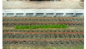 HEKI 1813 Fűcsíkok, sötétzöld (10 db) HEKI 1813 Fűcsíkok, sötétzöld (10 db)
